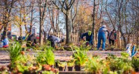 Skwer Matysiaków na Powiślu przechodzi metamorfozę: zyska nową zieleń i funkcjonalne udogodnienia