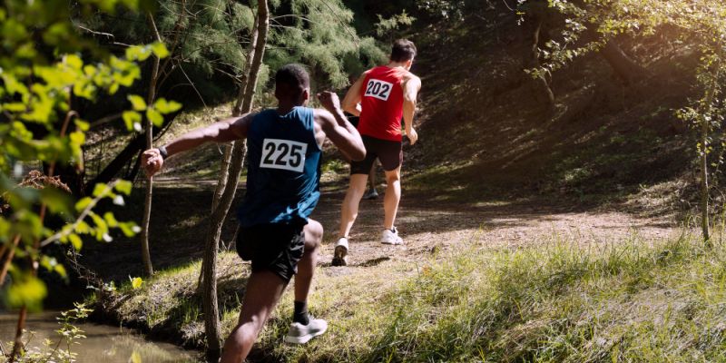 Leśna Triada Biegowa wraca do warszawskich lasów. Znamy harmonogram