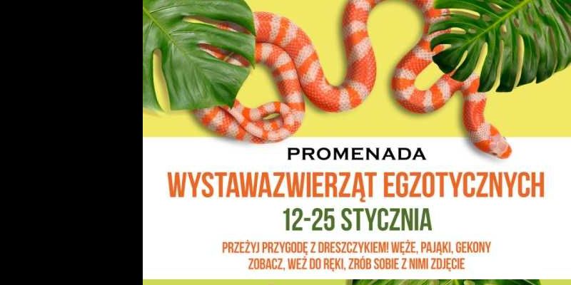 Niezwykła wystawa zwierząt egzotycznych