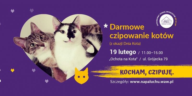 Darmowe czipowanie kotów na Ochocie