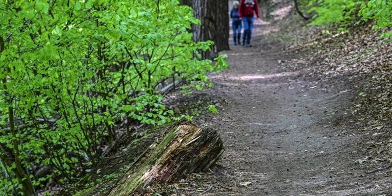 Razem dla Sopotu, czyli Korpusiaki znów sprzątają Pomorze