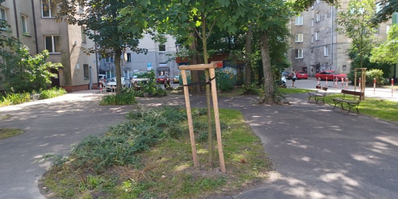 Plaga szczurów na Ochocie