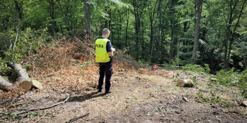 Policjanci wyjaśniają okoliczności śmierci pilarza