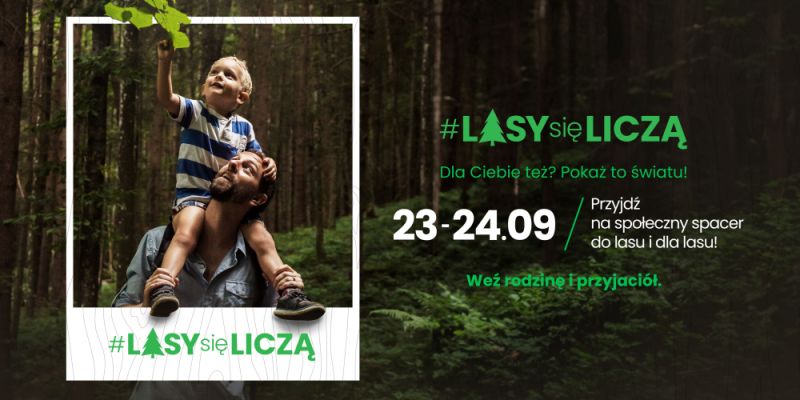 #LasySięLiczą: weź udział w święcie lasu i pomóż chronić nasze zielone bogactwo