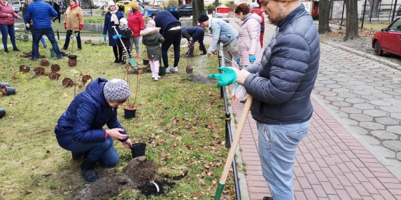 Nowe nasadzenia przy Bitwy Warszawskiej 14