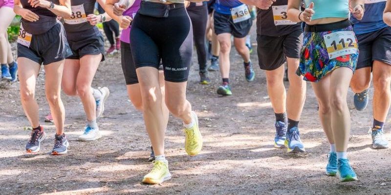Ruszyły zapisy na „Szlak Lata”. Leśna Triada Biegowa wraca do Lasu Kabackiego