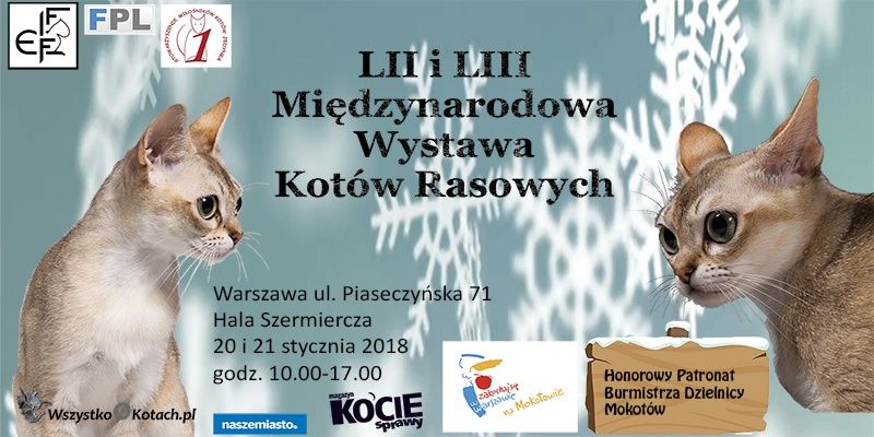 Międzynarodowa Wystawa Kotów Rasowych