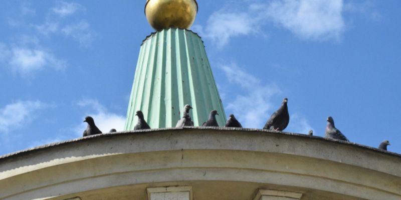 „Gruba Kaśka” zostanie wyremontowana. Gołębie nie stracą dachu nad głową