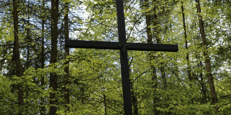 Poszukują pamiątek związanych z katastrofą w Lesie Kabackim