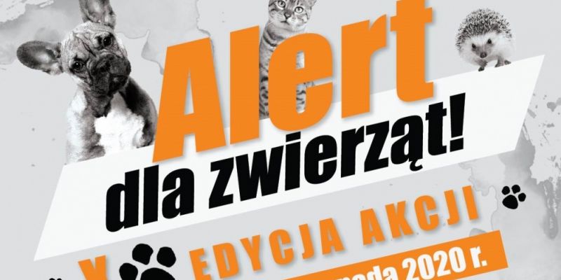 Alert dla zwierząt! – to już X edycja