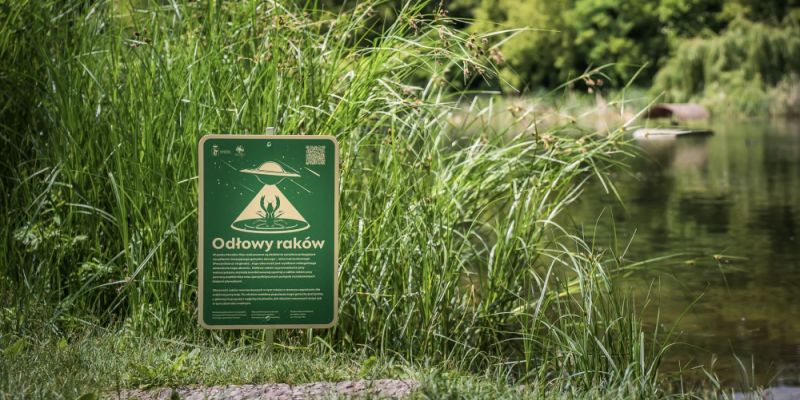 ZZW odławia gatunki inwazyjne z warszawskich stawów
