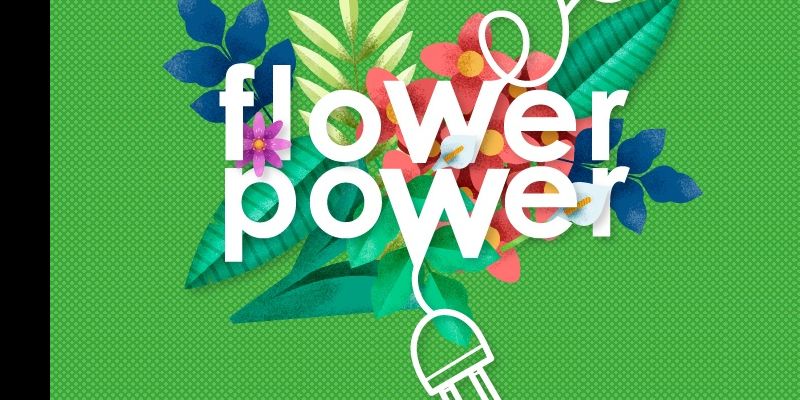 „Flower Power” na Ursynowie