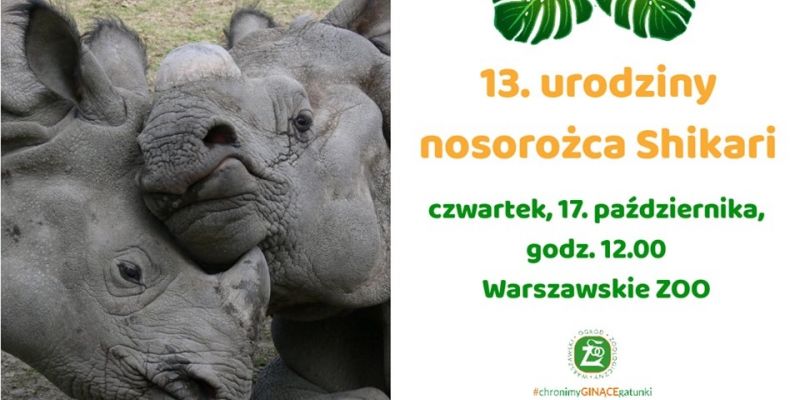 Impreza urodzinowa w warszawskim ZOO