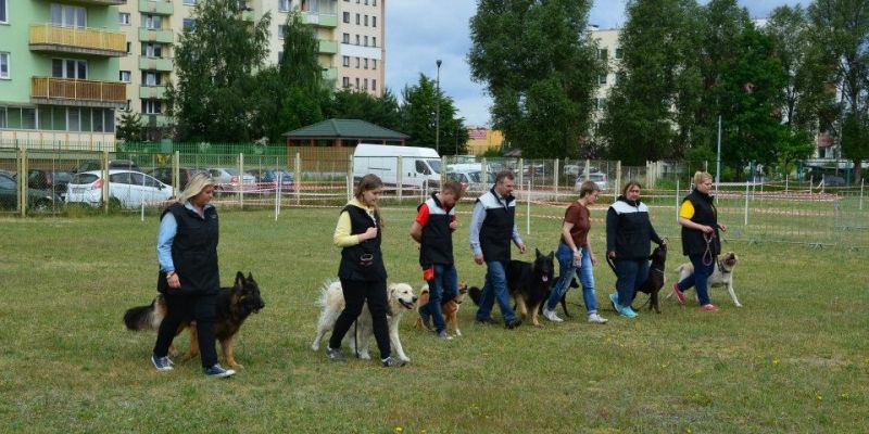 IV Sportowy Piknik z Psem na Bemowie