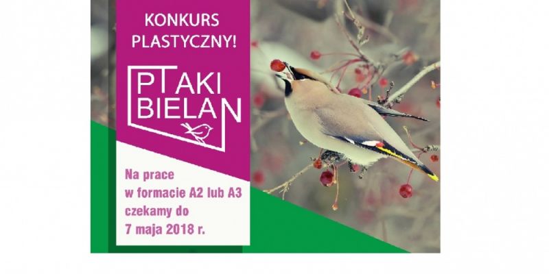 KONKURS PLASTYCZNY! PTAKI BIELAN