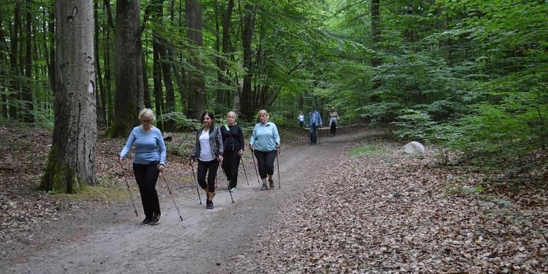 MOSiR zaprasza na pływalnię i zajęcia ruchowe