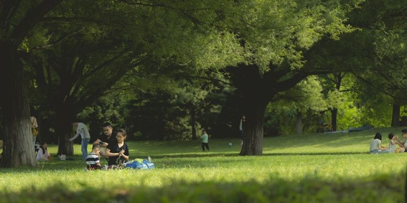 Dziś ruszają sąsiedzkie pikniki na Bemowie