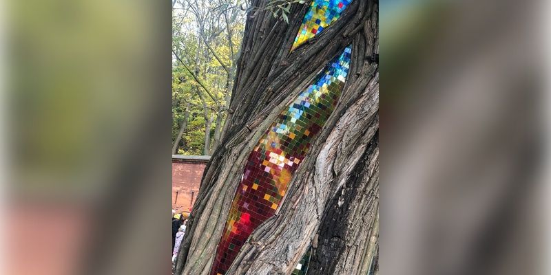 Słynna „Wierzba” wróciła na Żoliborz