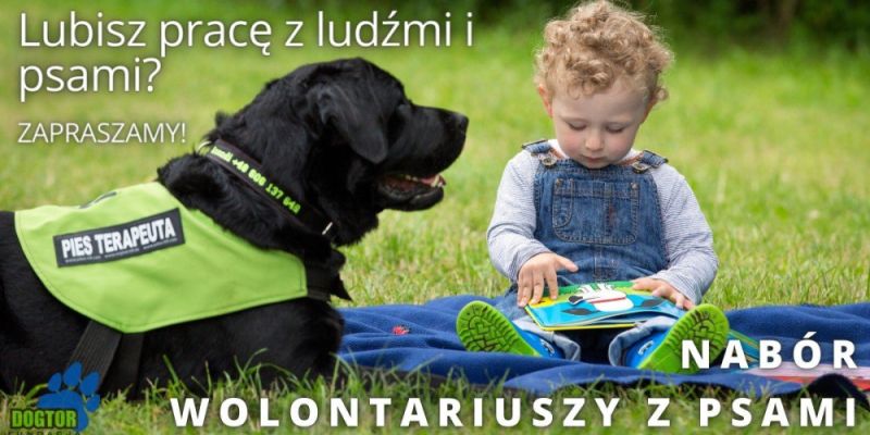 Podziel się dobrem. Fundacja Dogtor w Gdyni  poszukuje wolontariuszy