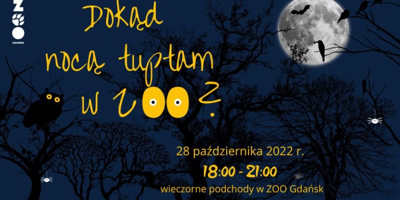 Dokąd nocą tuptam w ZOO ?