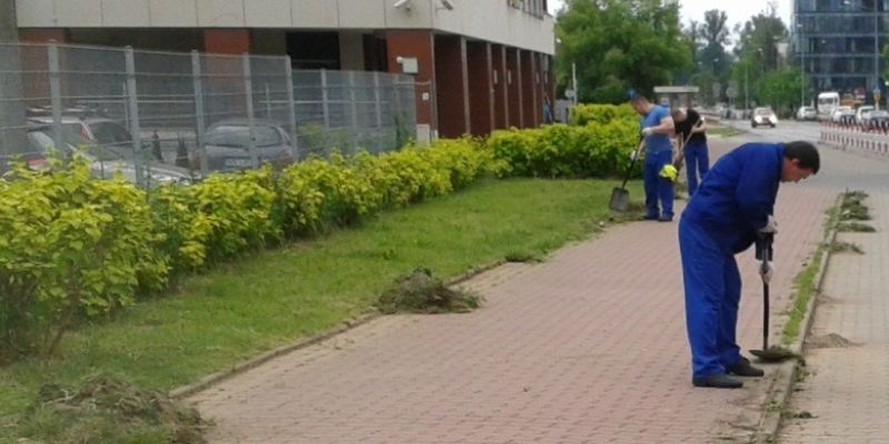 Więźniowie wysprzątają Mokotów