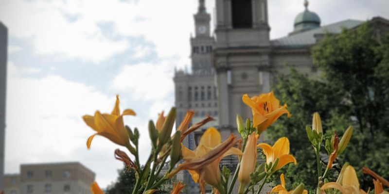 Festiwal na Placu Centralnym - co będzie się działo?