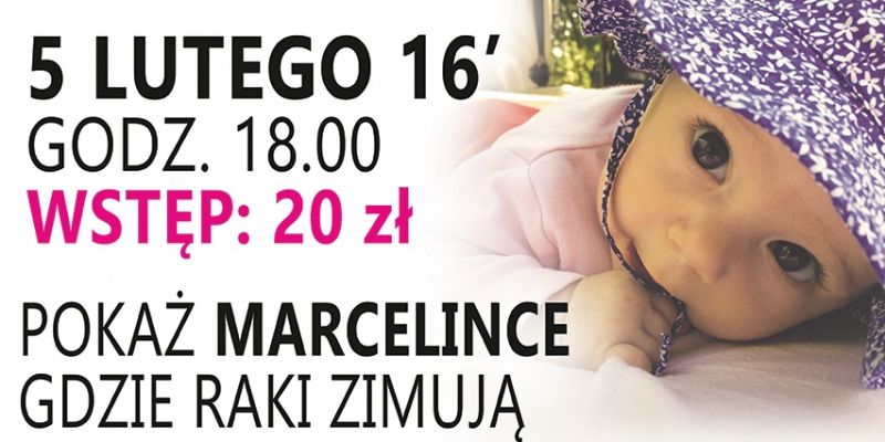 Pokaż Marcelince gdzie Raki zimują