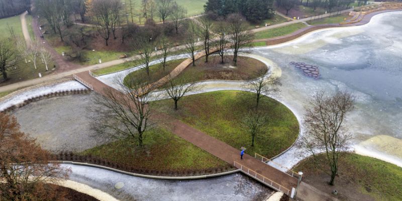 Zwiększenie bioróżnorodności na Polu Mokotowskim: wspólna akcja sadzenia roślin