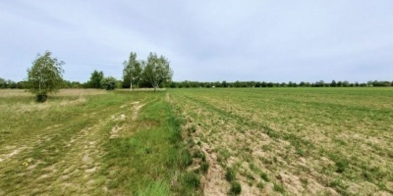 Nowe miejscowe plany zagospodarowania przestrzennego dla Woli i Wilanowa