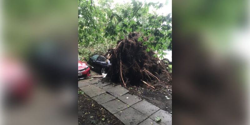 Nawałnica przeszła przez Gdynię. Trwa usuwanie jej skutków