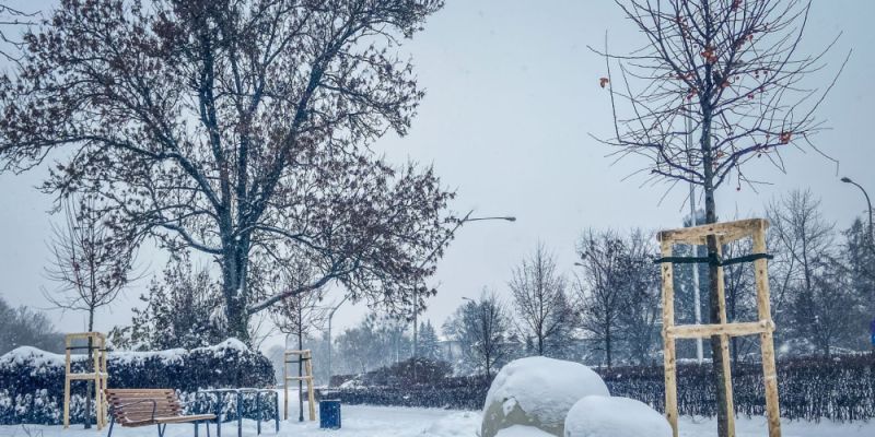 Powstał zimowy park kieszonkowy na Mokotowie