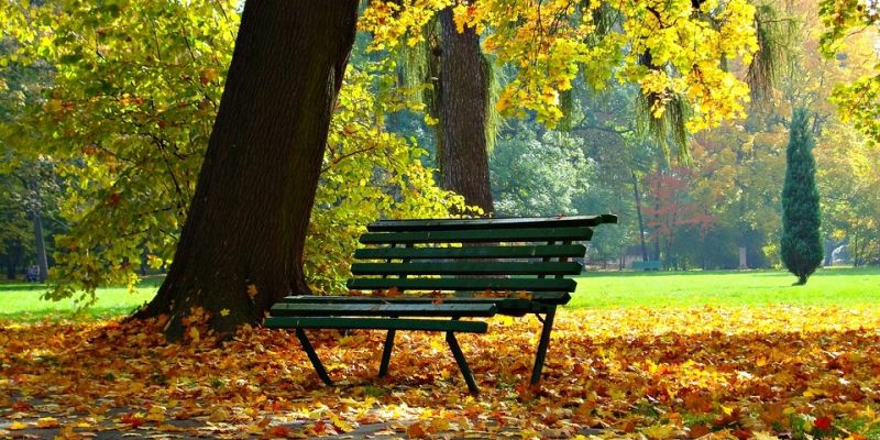 Unijne dofinansowanie do renowacji parków