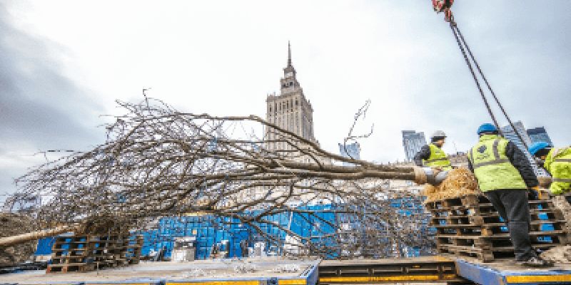 Będzie zielono wokół Muzeum Sztuki Nowoczesnej