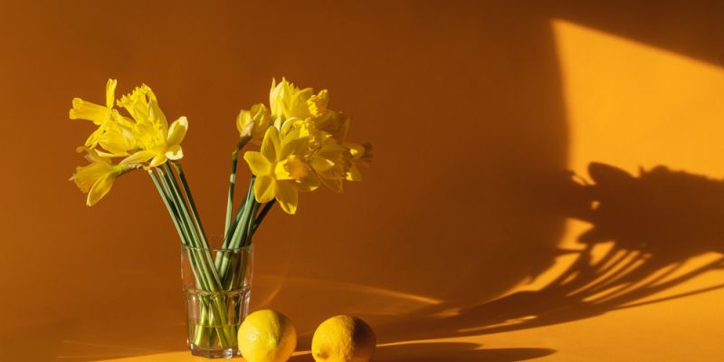 Zaangażuj się w akcję „Żonkile” - wolontariat w 83. rocznicę powstania w getcie warszawskim