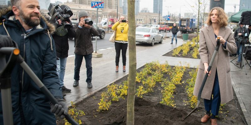 Nowe Centrum Warszawy – pierwsze drzewa na rondzie Dmowskiego