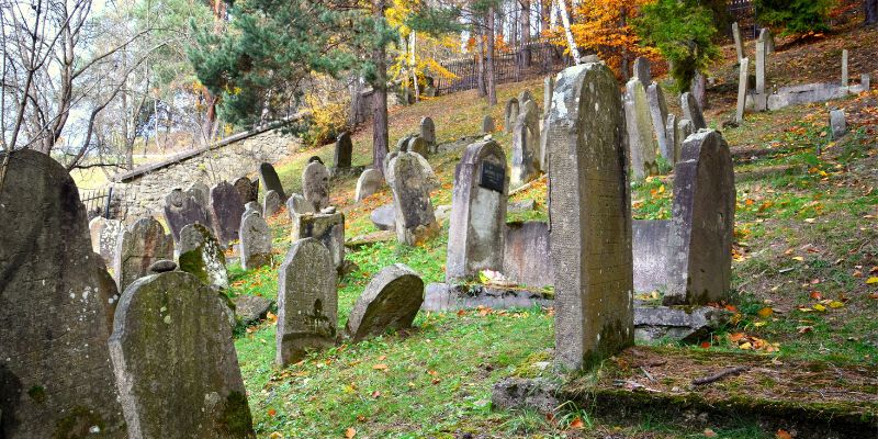 Nowe odkrycia archeologiczne. Odsłonięto fragmenty zburzonej przez Niemców synagogi