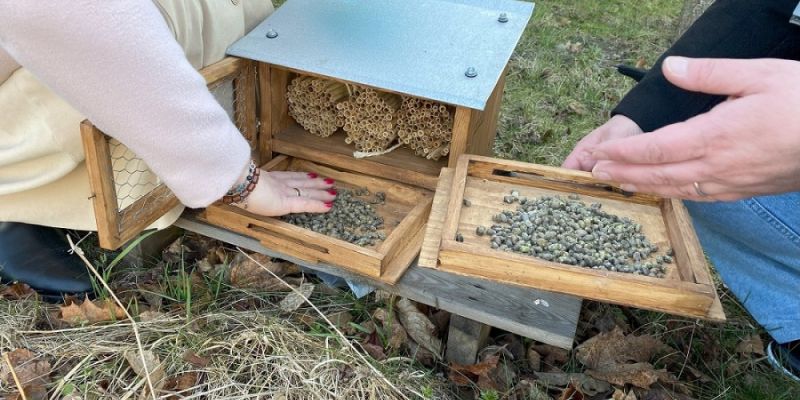 Zwierzęta dobrze czują się na Kabatach