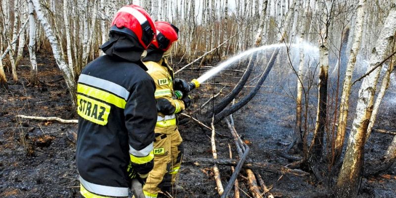 Pomorski Heweliusz  w Biebrzańskim Parku Narodowym