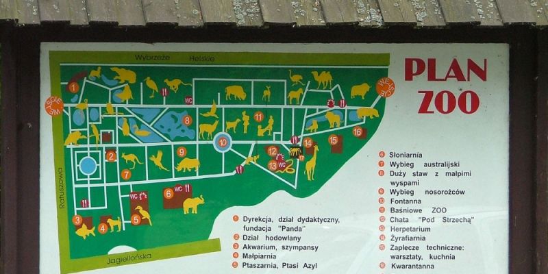 Kto wykona nowe wejście do zoo?