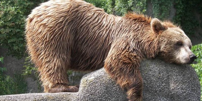 ZOO idzie w miasto!