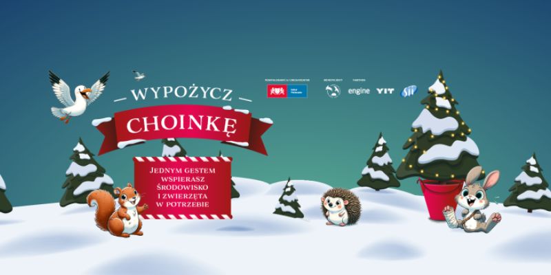 Wypożycz choinkę na święta!