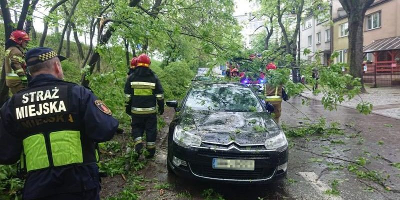 Drzewo runęło na samochód