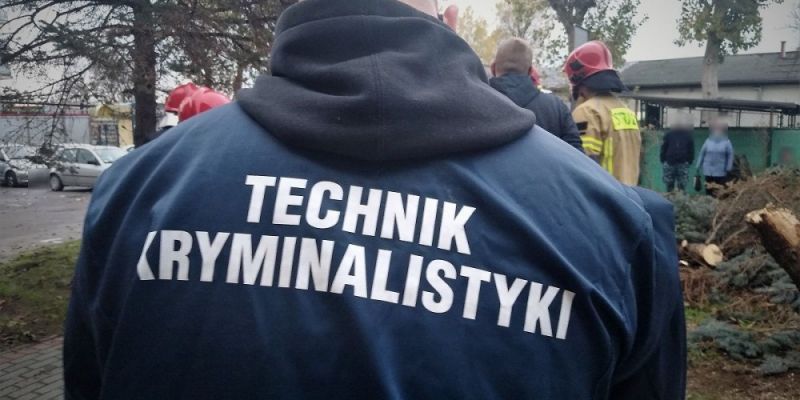 Seatem ściął drzewo – policjanci apelują o ostrożność i rozwagę