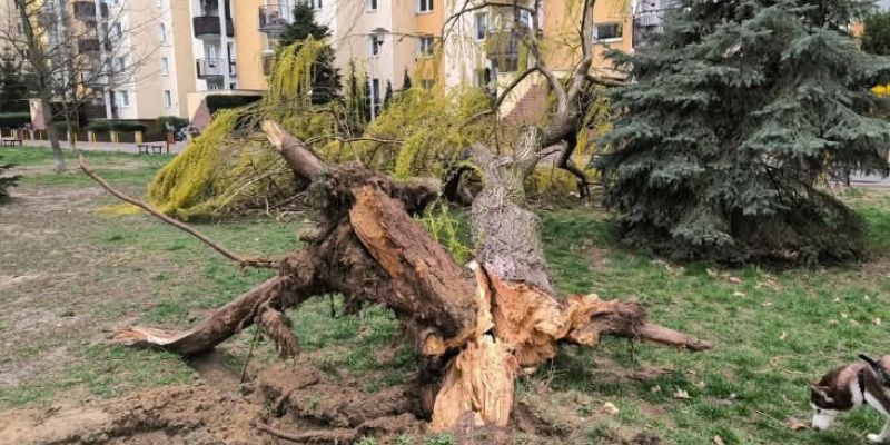 Ekstremalna pogoda – jak zadbać o bezpieczeństwo?
