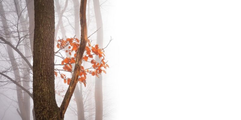 Prognoza pogody dla Warszawy na aktualny tydzień