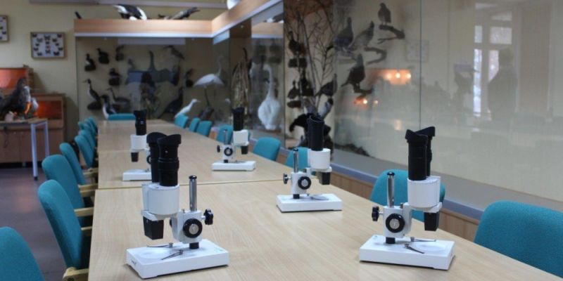 Doposażenie sali dydaktycznej Miejskiego Ogrodu Zoologicznego w Warszawie