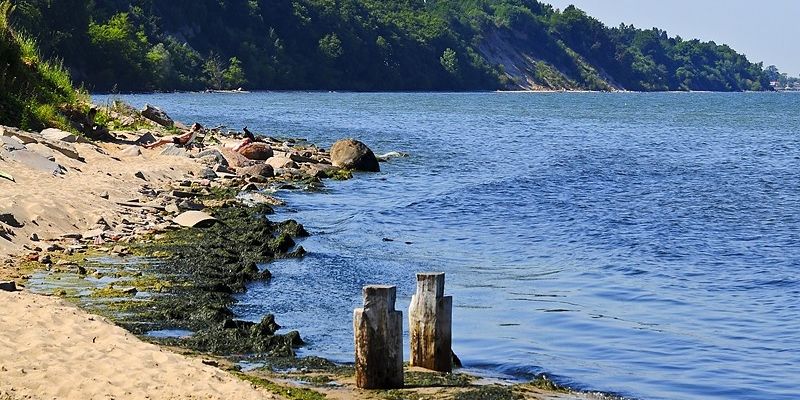 Autobusem na plażę