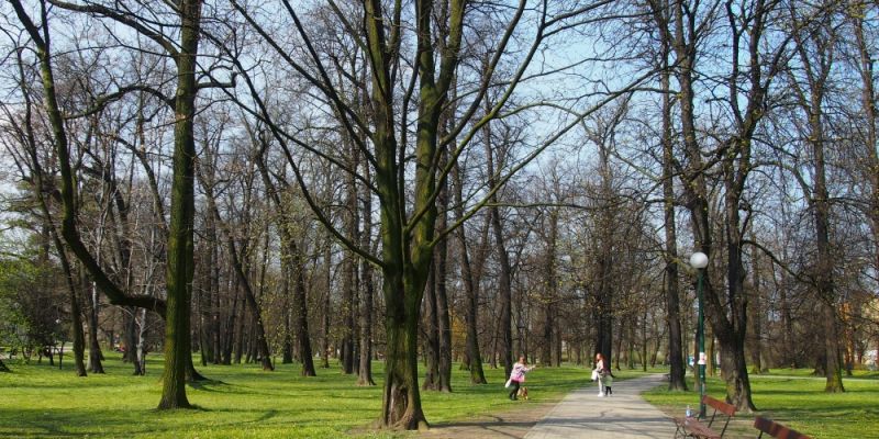 Wiosna ach to ty - na Włochach