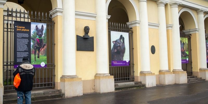 "Czarne jest piękne". Wystawa na placu Bankowym