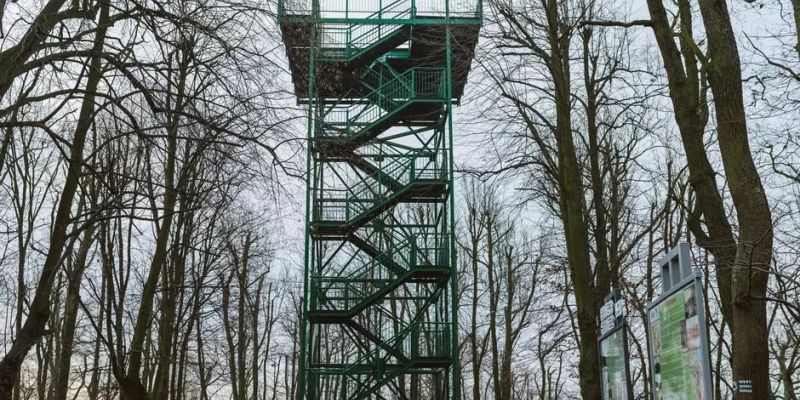 W sierpniu zakończenie prac na Pachołku